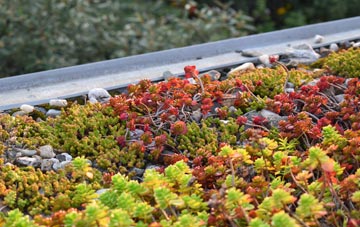 the cost of St Dogmaels green roof installation