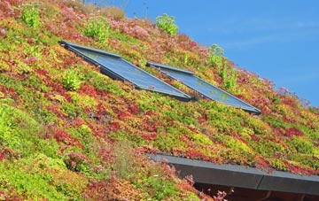 St Dogmaels living roof systems