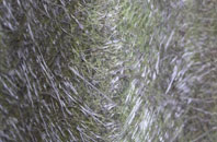 St Dogmaels fibreglass roof work